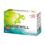 Magnewill Rapid 375 mg por Citrom Anansz 20x tasak