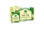 Lady Vital filteres tea HERBRIA 20x
