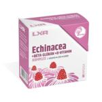 LXR Echinacea + B-Glkn + D komplex kapszula 60x